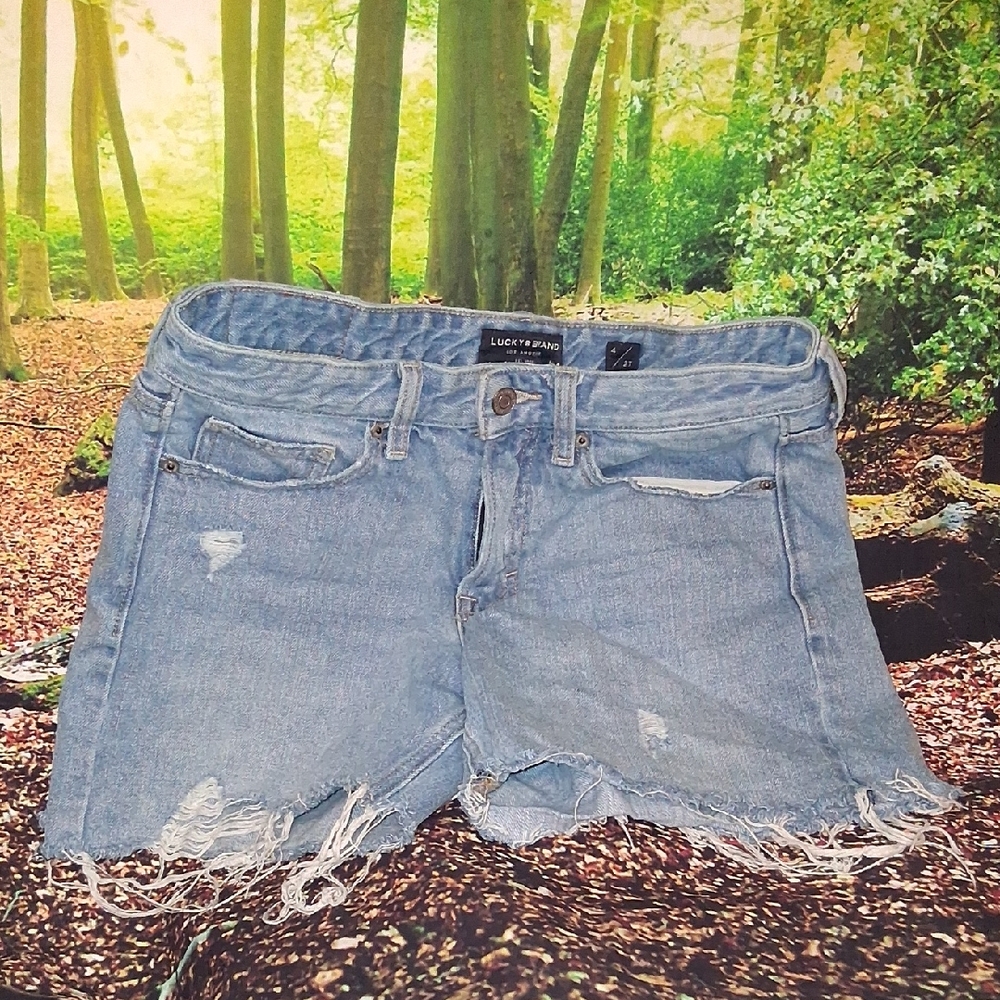 Size 4 Jean Shorts